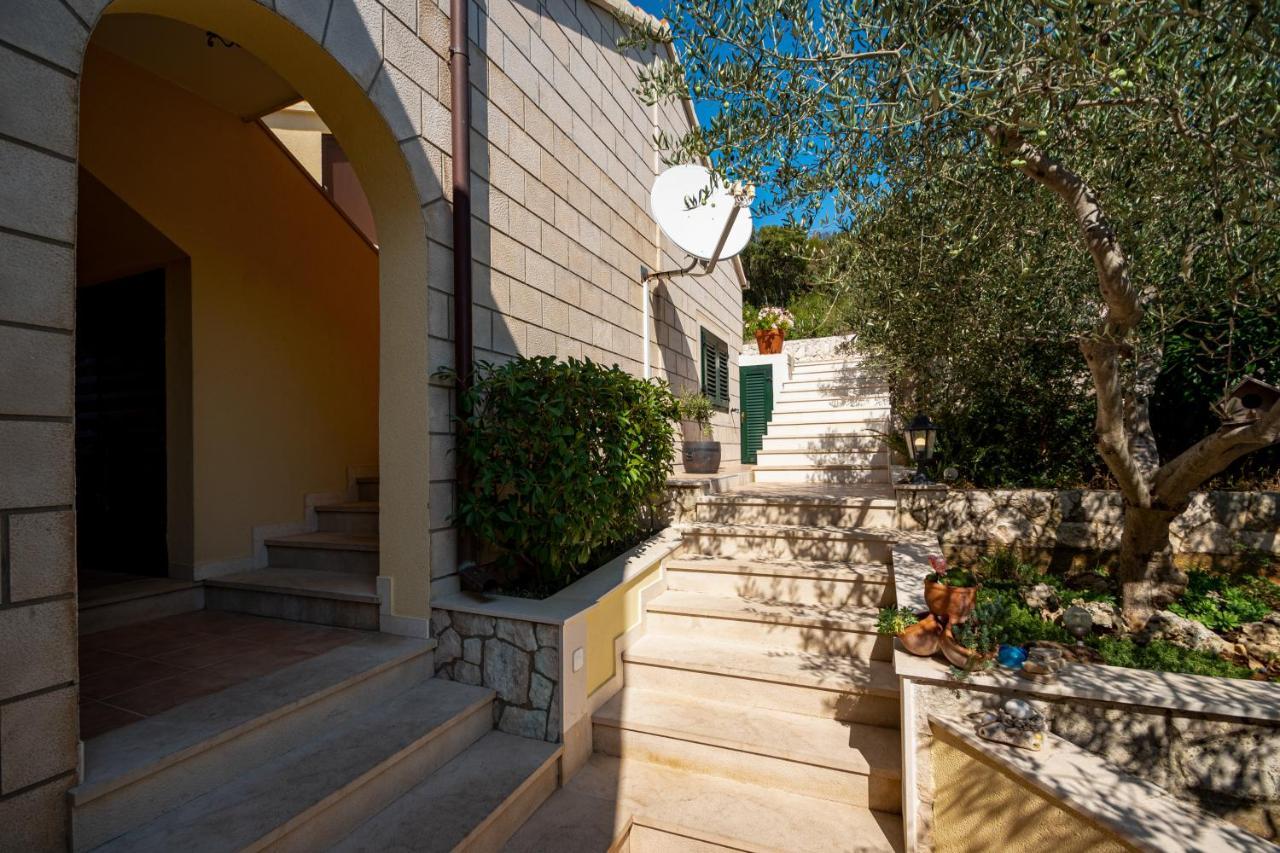 Villa Ana Zrnovo Ngoại thất bức ảnh