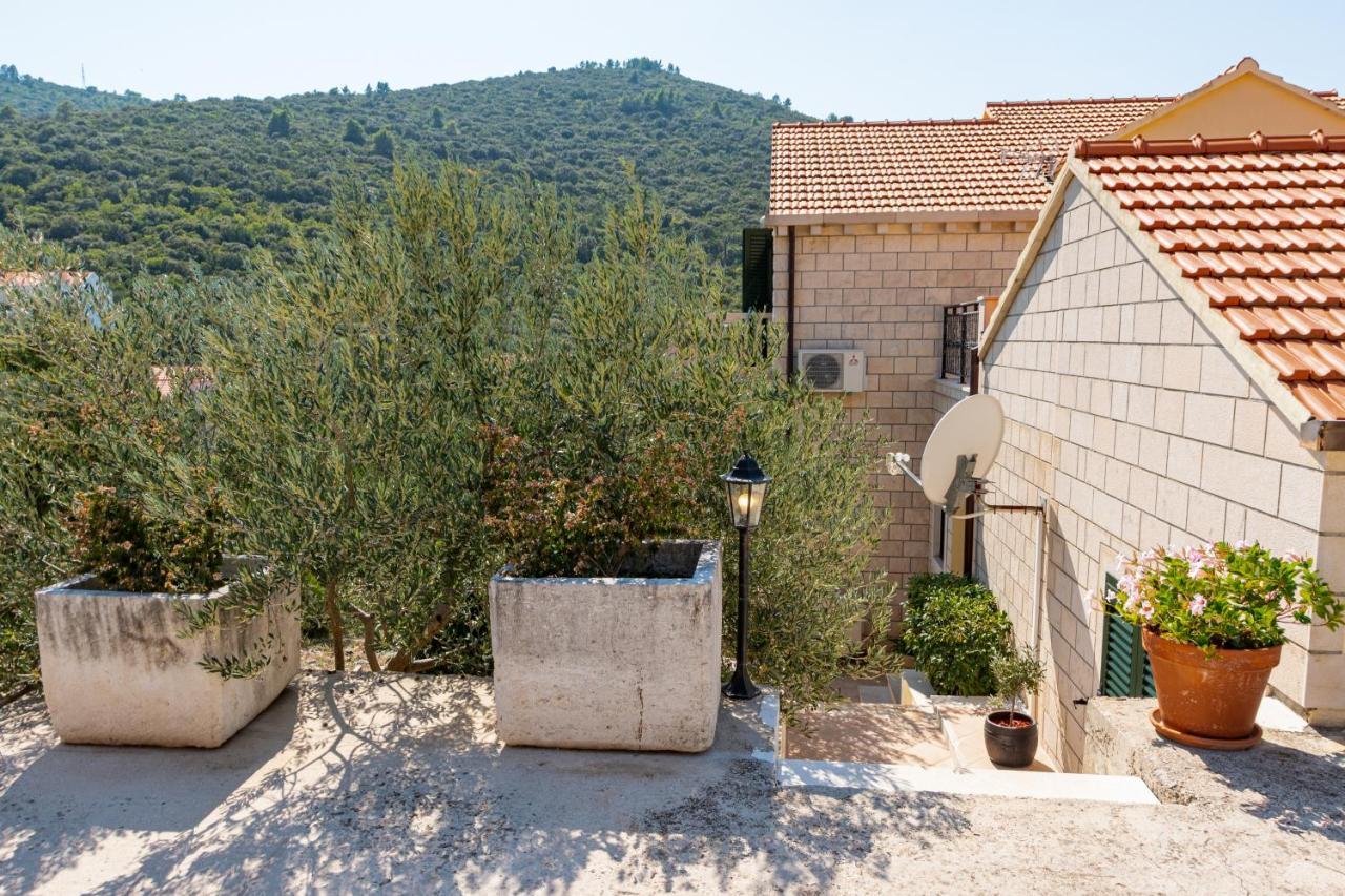 Villa Ana Zrnovo Ngoại thất bức ảnh