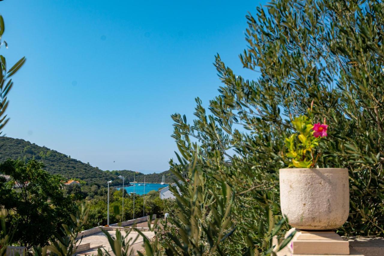 Villa Ana Zrnovo Ngoại thất bức ảnh